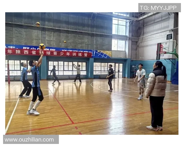 西安排球队的速度分析与战术运用探讨